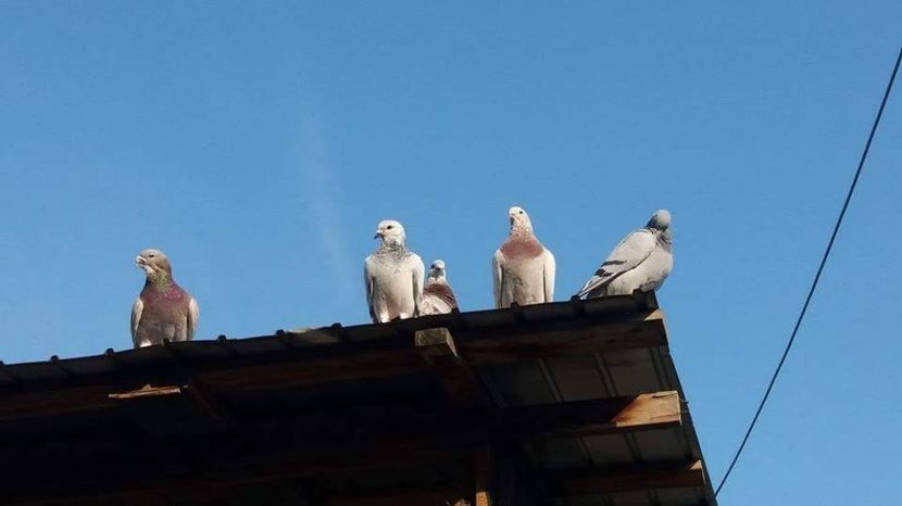 received_1993364630898302 - Contact