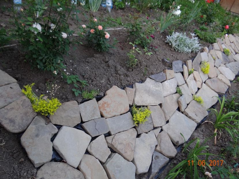  - Mon Jardin prinde contur