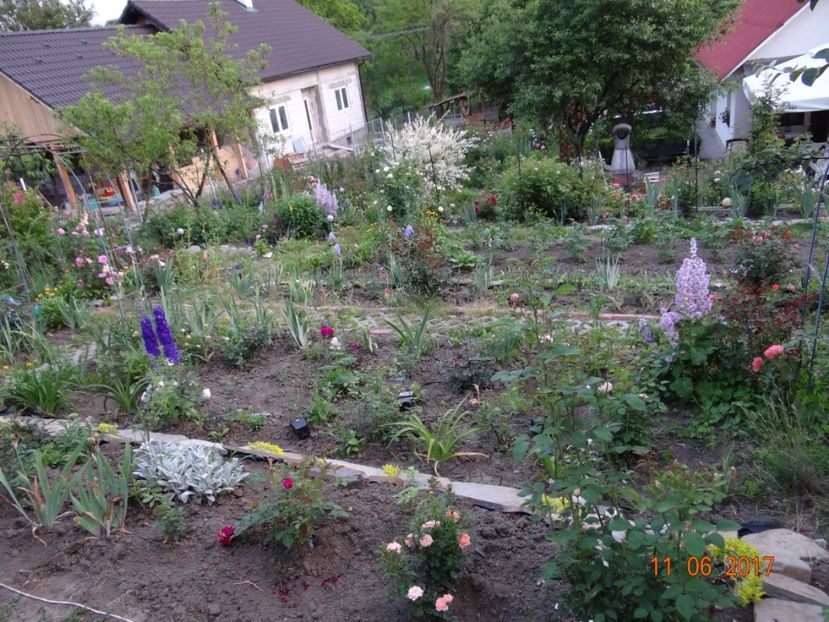  - Mon Jardin prinde contur