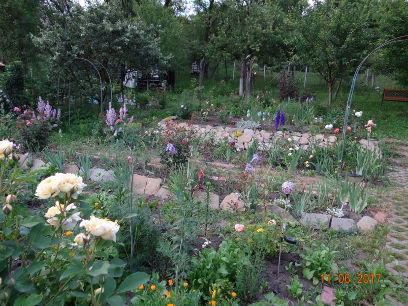  - Mon Jardin prinde contur