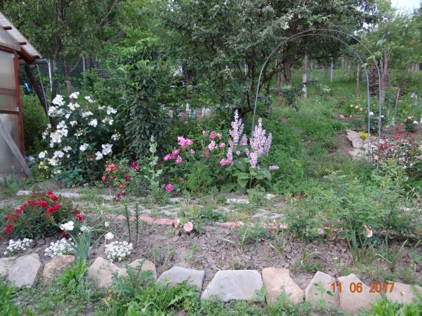  - Mon Jardin prinde contur