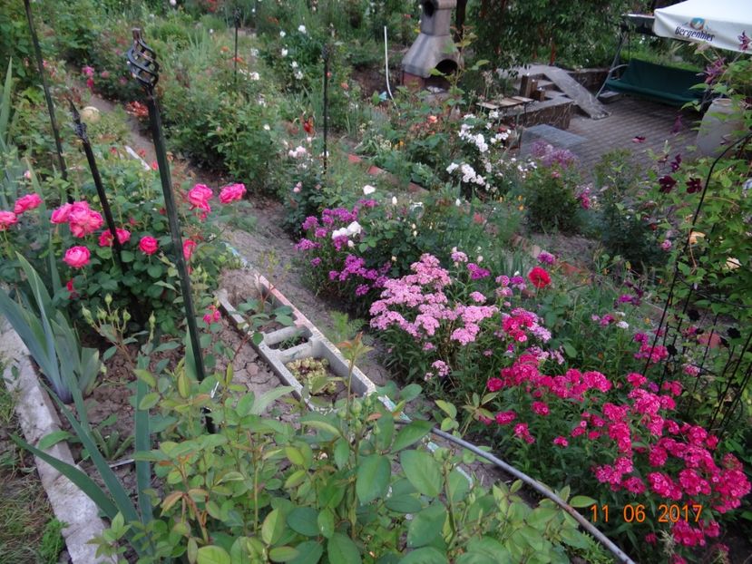  - Mon Jardin prinde contur