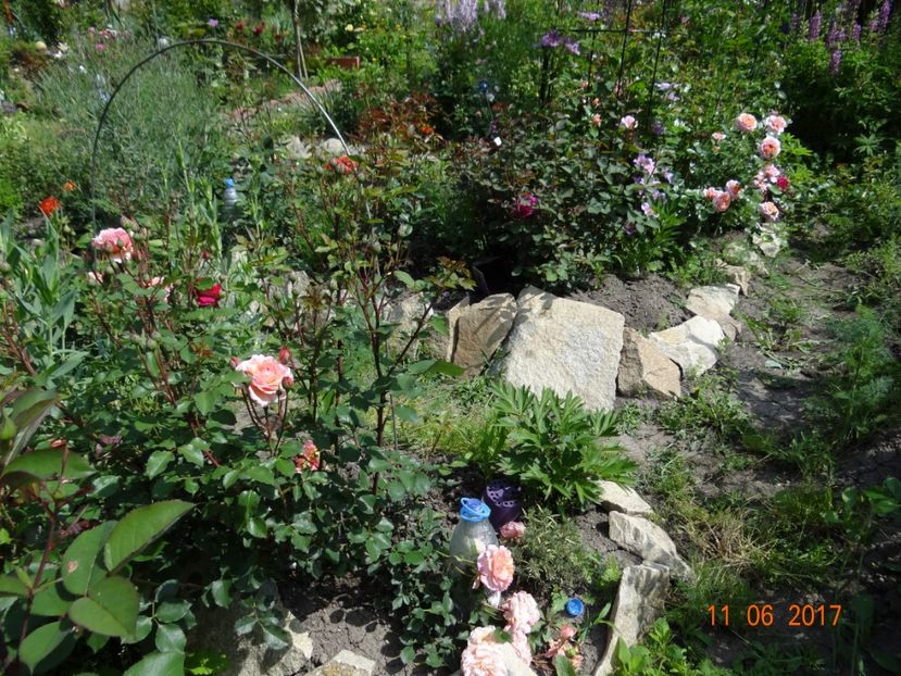  - Mon Jardin prinde contur