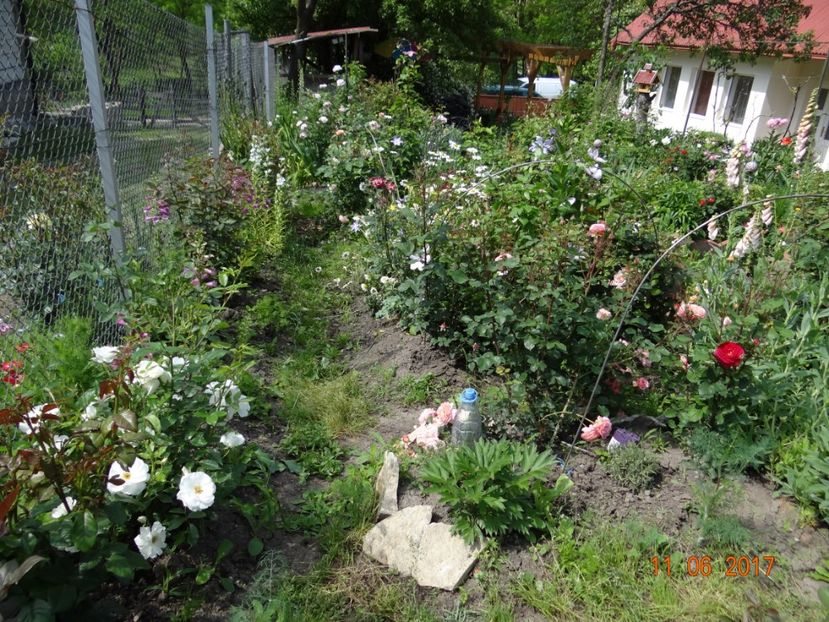  - Mon Jardin prinde contur