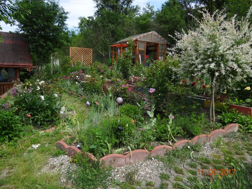  - Mon Jardin prinde contur