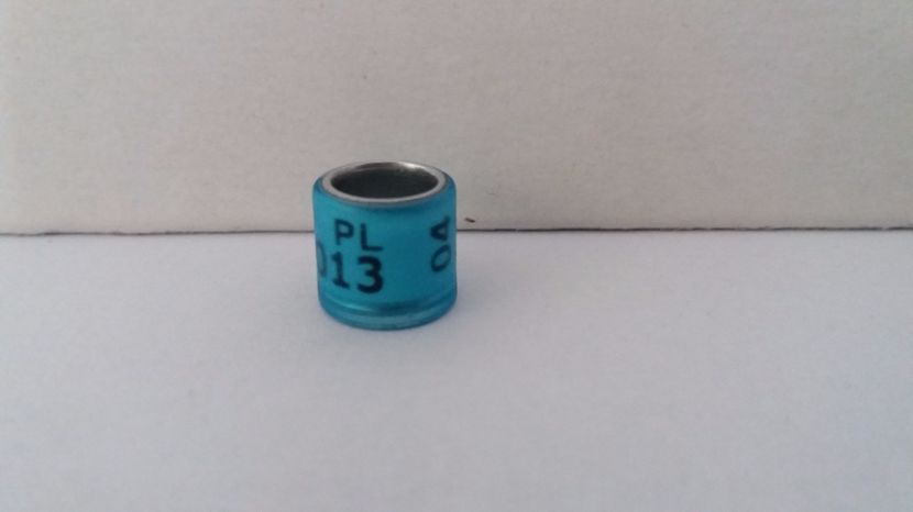 PL 04 - Inele Polonia - 51 piese