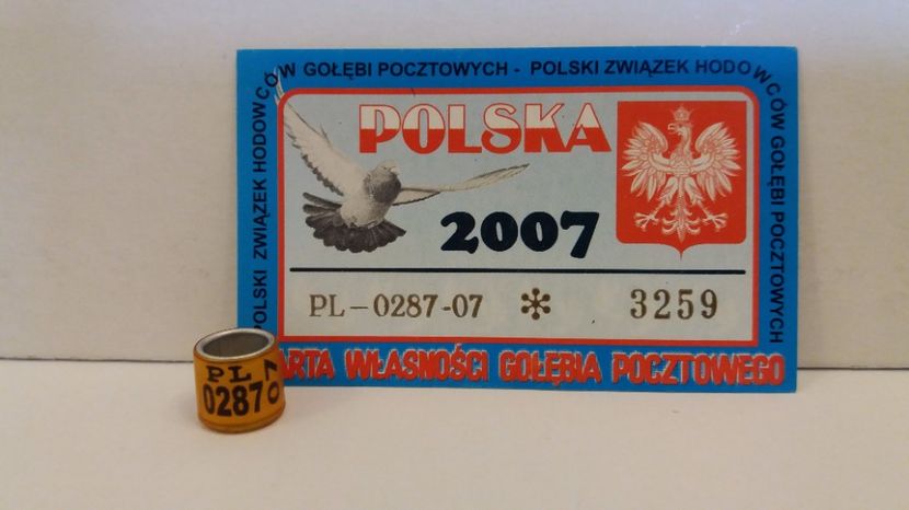 PL 07 - Inele Polonia - 51 piese