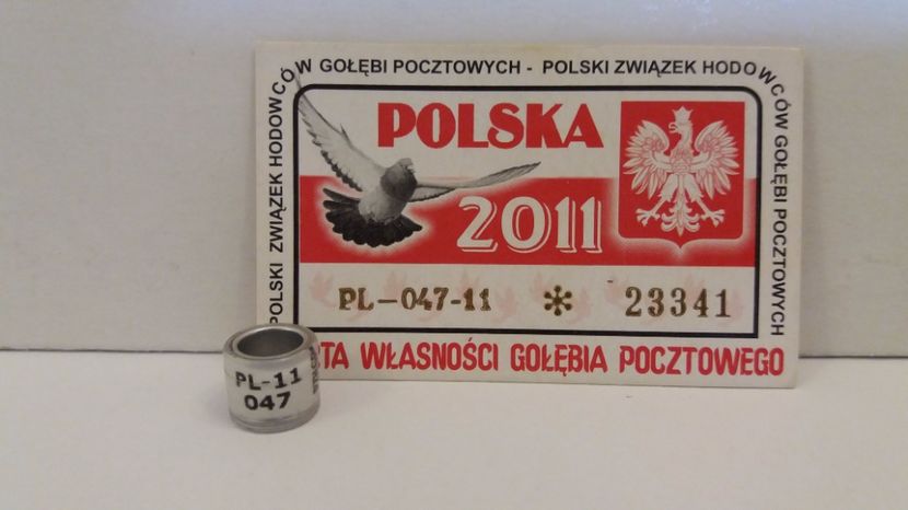 PL 11 - Inele Polonia - 51 piese
