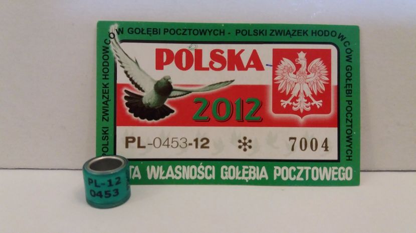 PL 12 - Inele Polonia - 51 piese