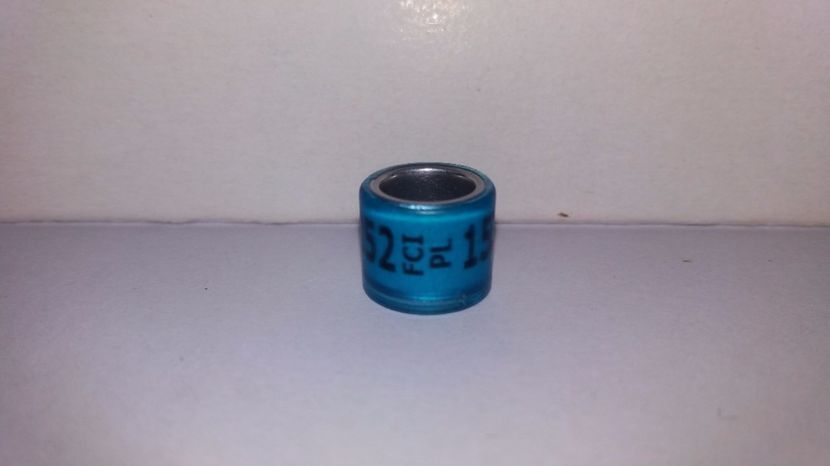 FCI - PL 13 - Inele Polonia - 51 piese