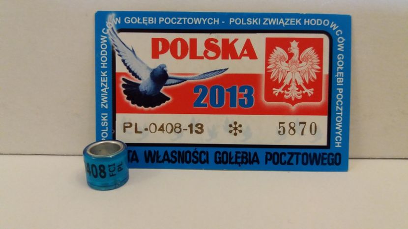 FCI - PL 13 - Inele Polonia - 51 piese