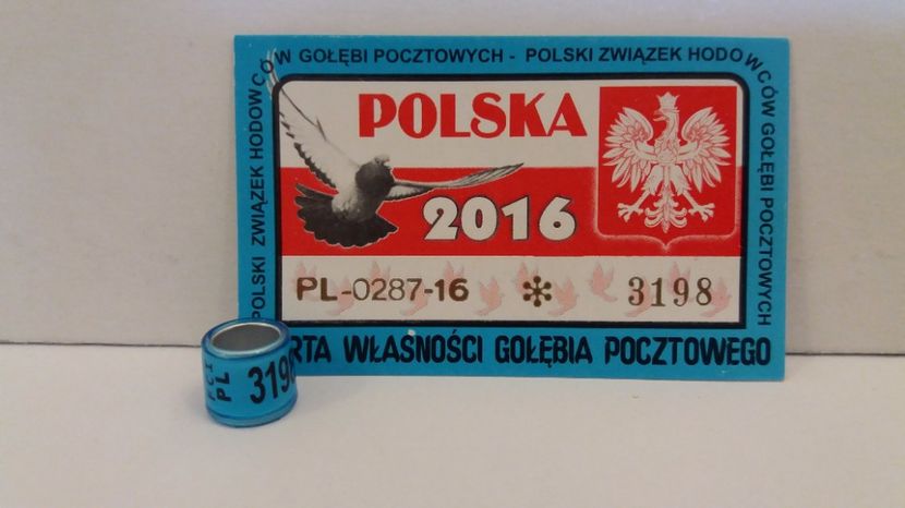 FCI - PL 16 - Inele Polonia - 51 piese