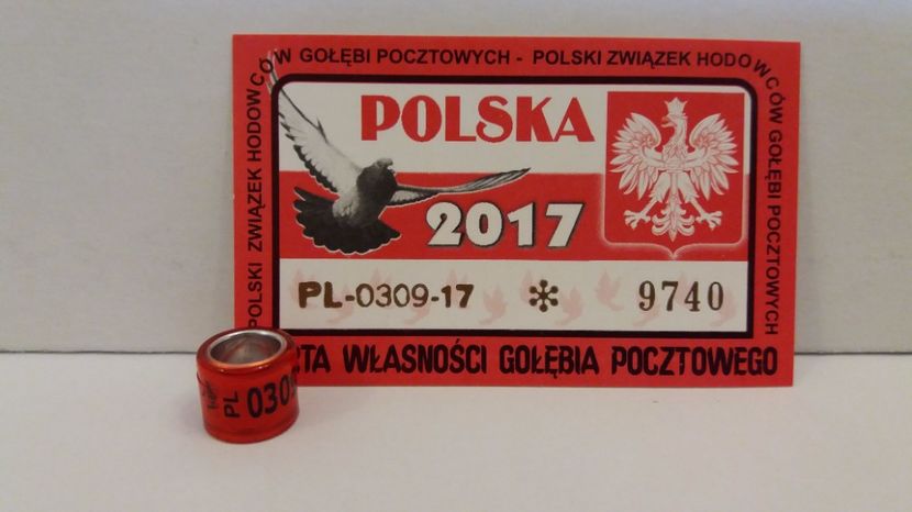 PL 17 - Inele Polonia - 51 piese