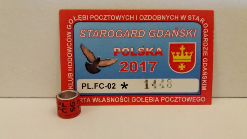PL-FC-SG 17 - Inele Polonia - 51 piese