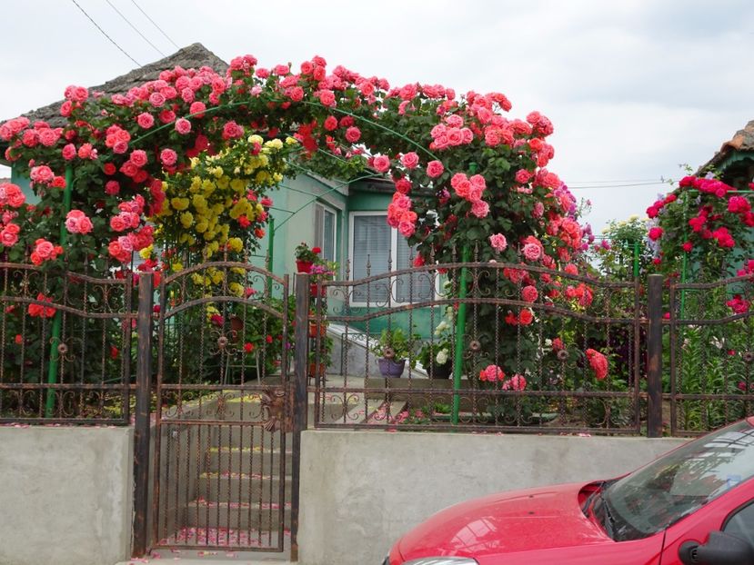  - Dee Dee Bridgewater