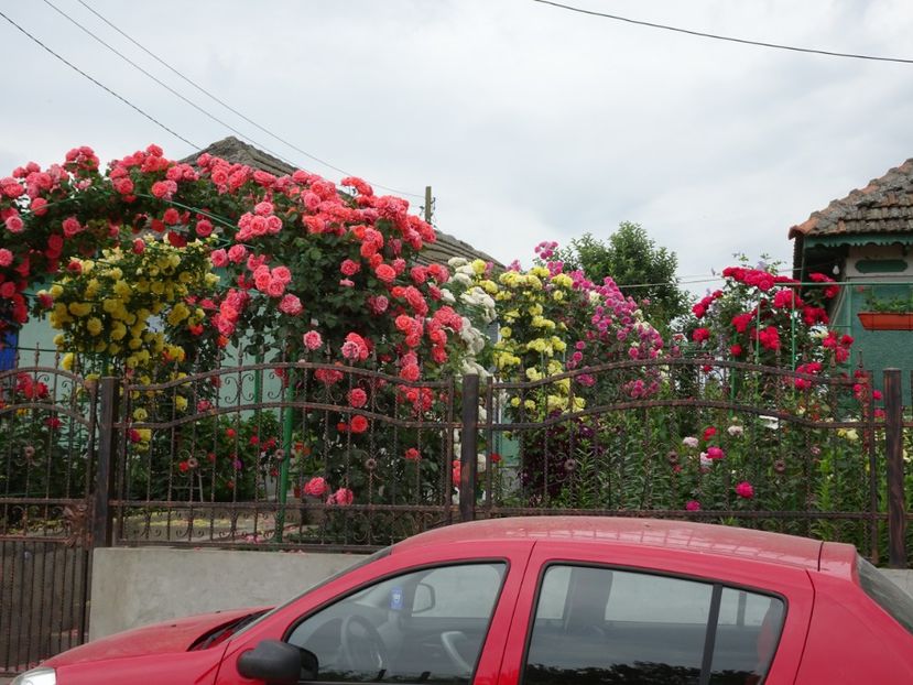  - Dee Dee Bridgewater