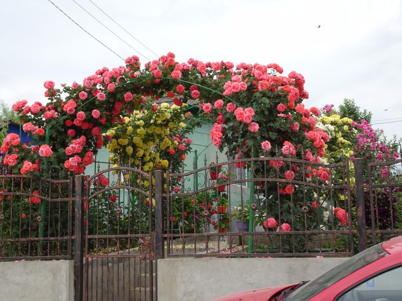  - Dee Dee Bridgewater