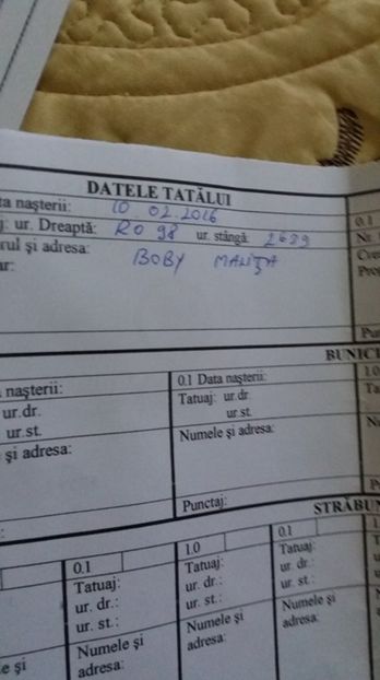 3 - Mascul UGG RO 22