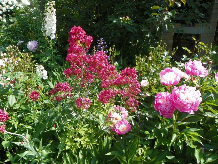 14 iun (27) - Vara 2017