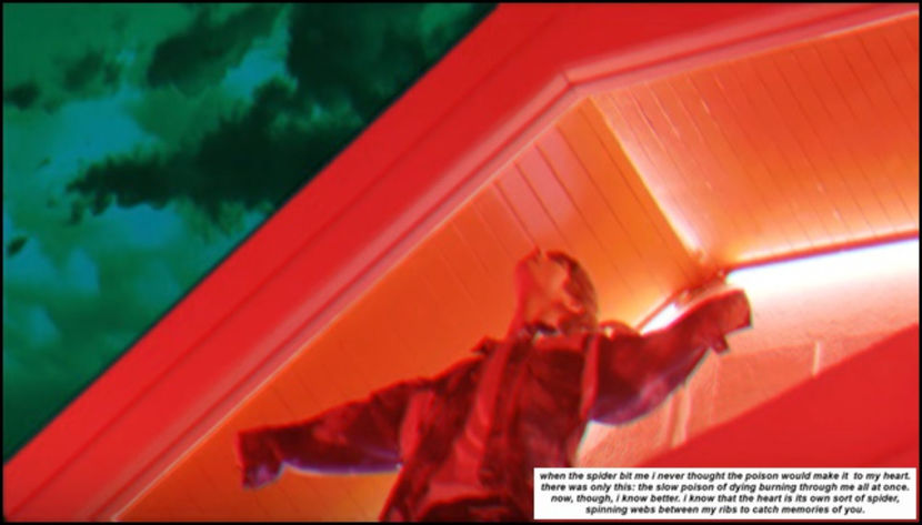 「forever we are young 」ϟ ♯14.06.2017. - we mean a safer place to fall apart