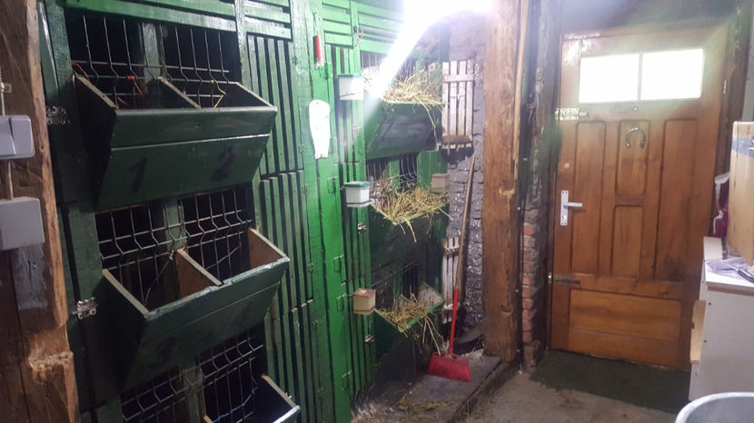 tmp_14430-20170608_172356-1020823519 - iepuri