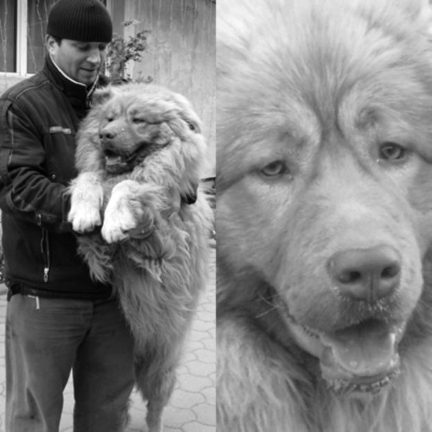 tmp_14430-CIMG30141291530713 - iepuri