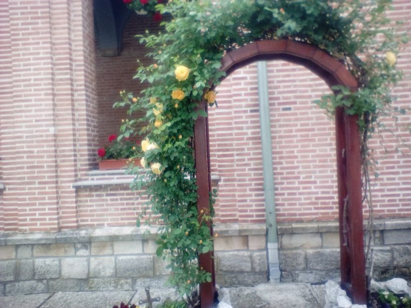  - Colectia mea