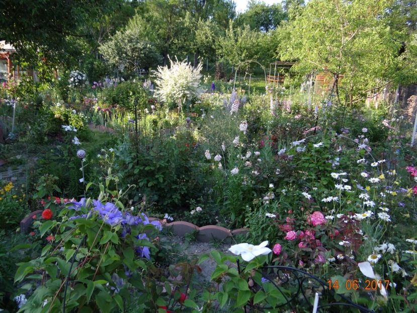  - Mon Jardin prinde contur