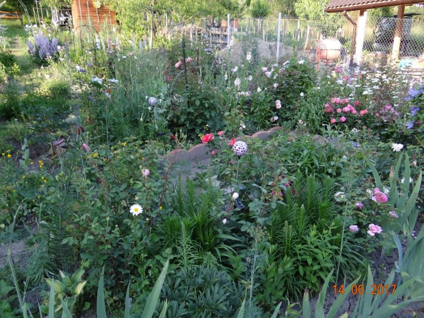  - Mon Jardin prinde contur