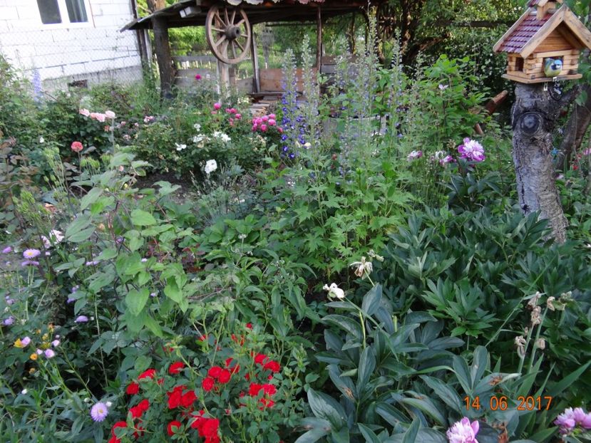  - Mon Jardin prinde contur