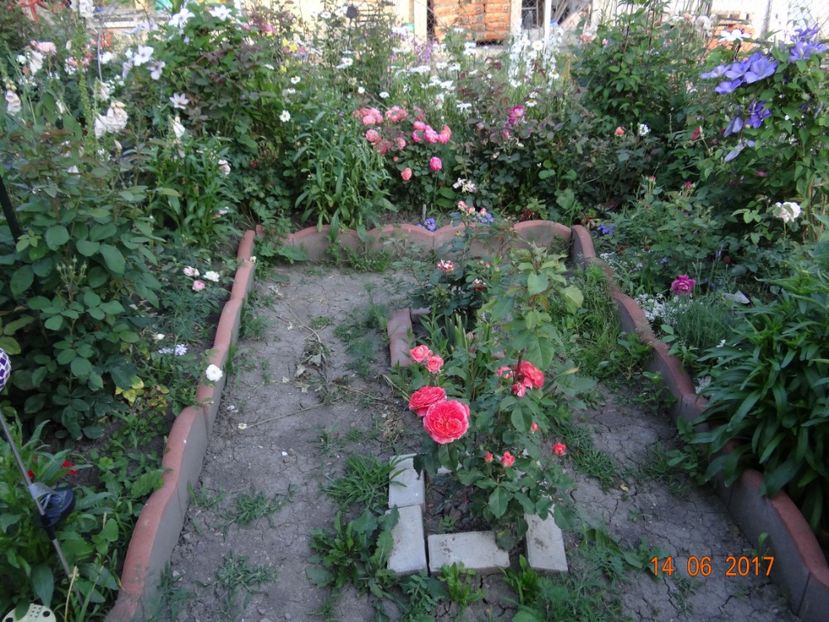  - Mon Jardin prinde contur