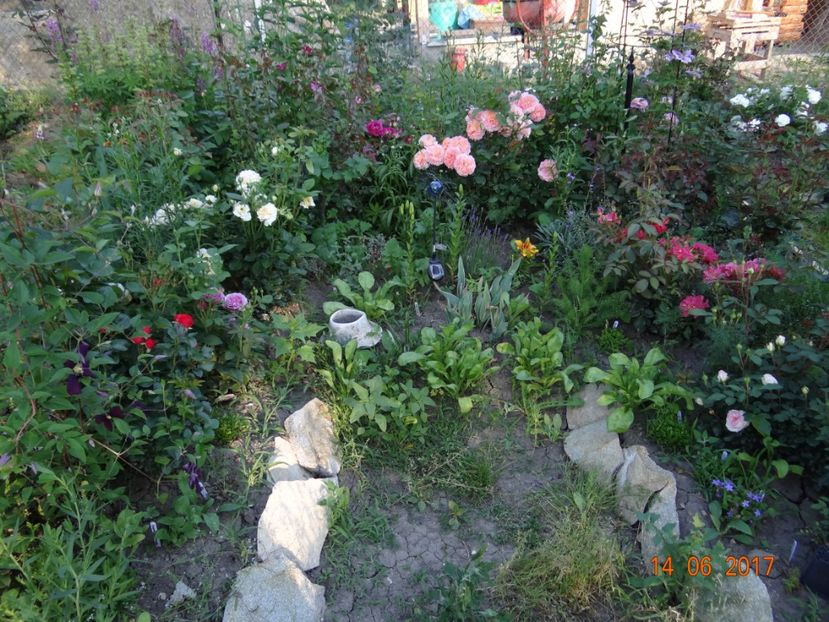  - Mon Jardin prinde contur