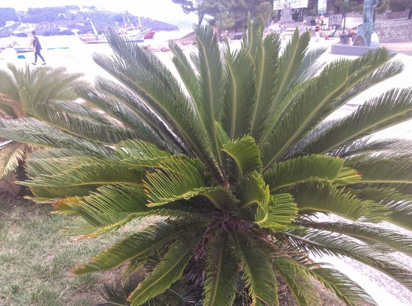  - Grecia