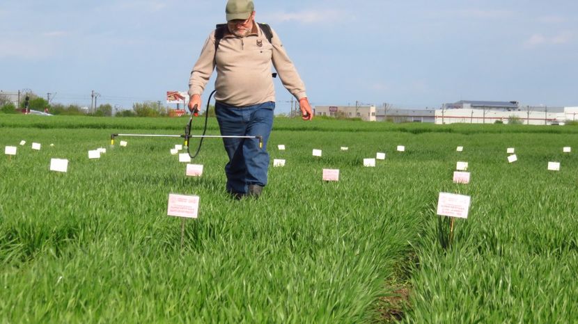  - 24-04-2017 - al 2-lea tratament foliar Dl Ing Octavian Guler