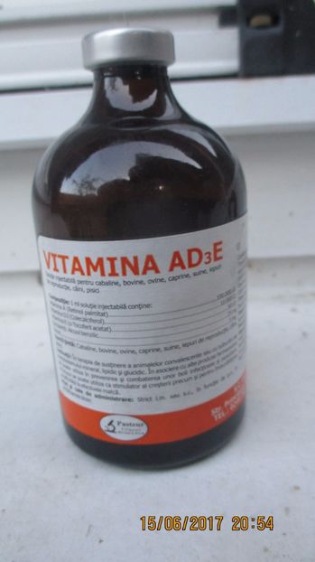  - A VITAMINE