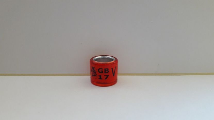 GB 17 V FCI - MAREA BRITANIE - GB