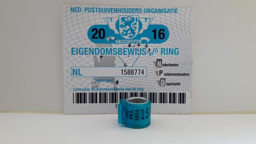 NL 2016 FCI - OLANDA - NL