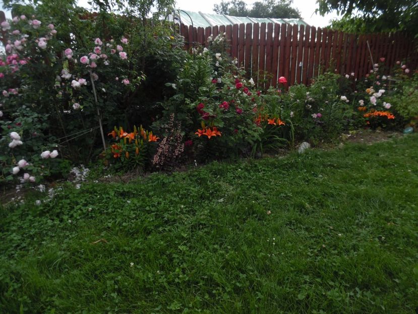  - 000 Iunie in gradina