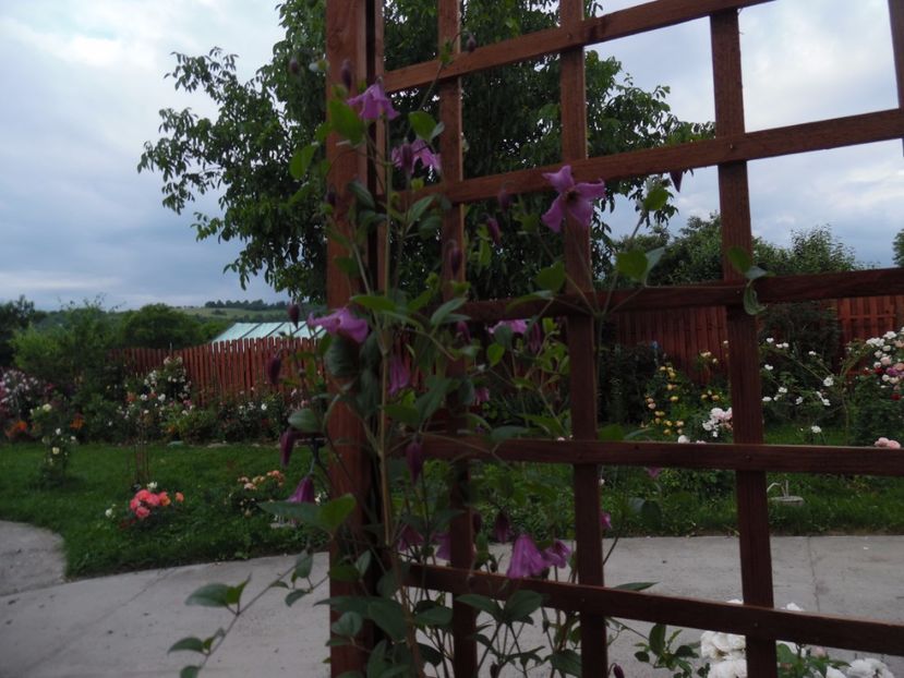  - 000 Iunie in gradina