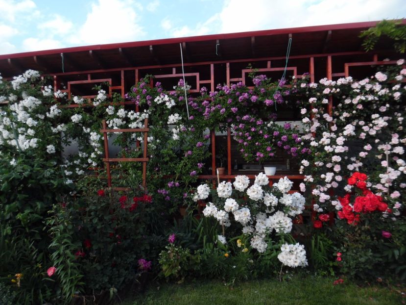  - 000 Iunie in gradina