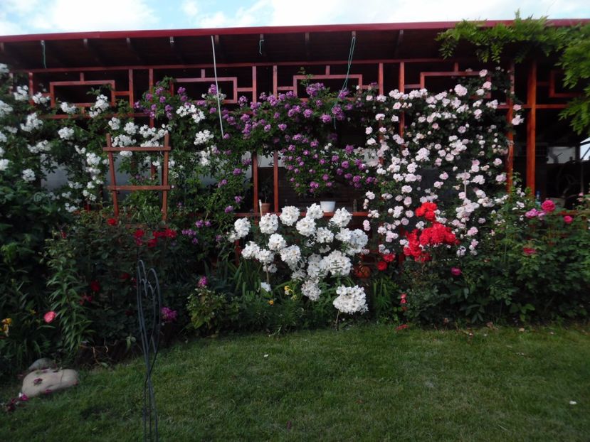  - 000 Iunie in gradina