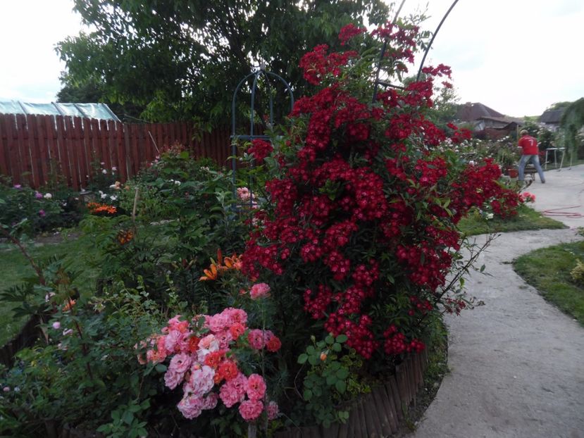  - 000 Iunie in gradina