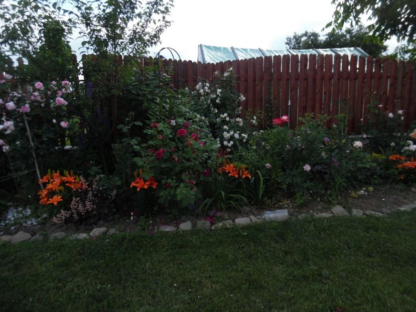  - 000 Iunie in gradina