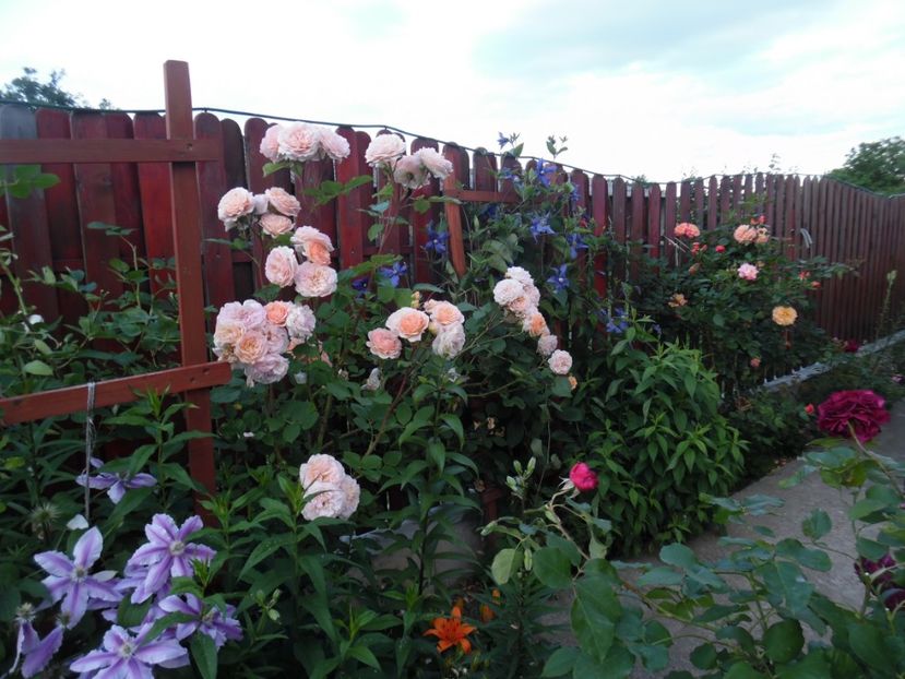  - 000 Iunie in gradina