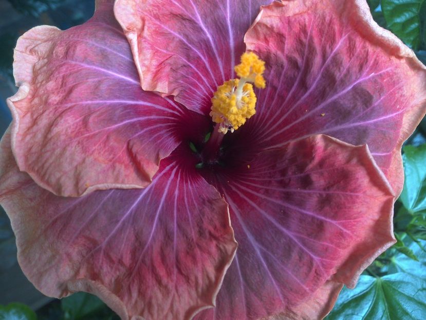 WIN_20170617_113512 - Jolanda Gommer