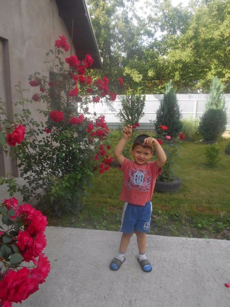  - G FLORI DE GRADINA