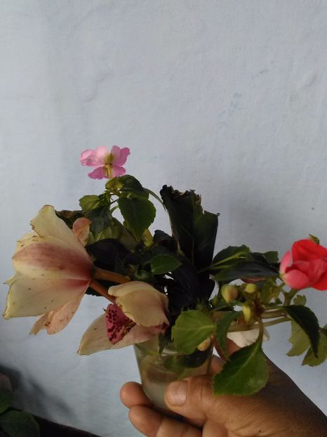  - Florile mele