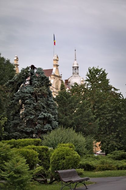  - BRASOV - ASPECTE