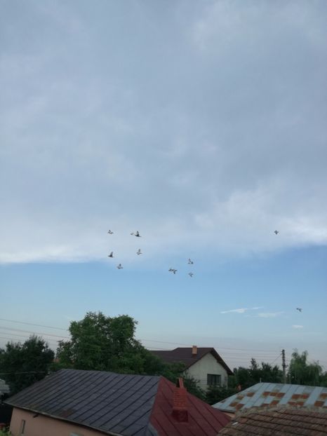  - 2017 Antrenament-pregatire-fond-2--6 iulie