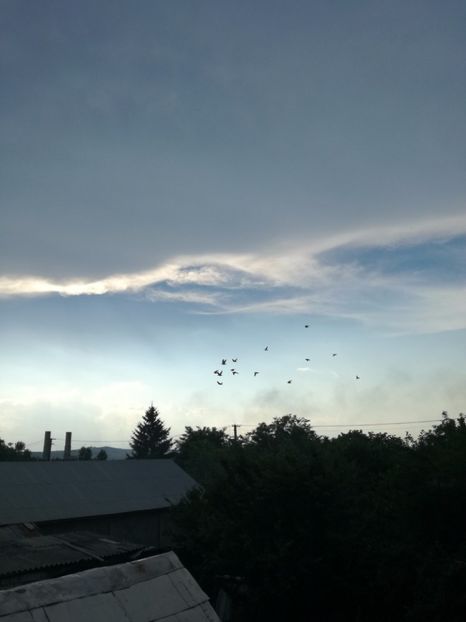  - 2017 Antrenament-pregatire-fond-2--6 iulie